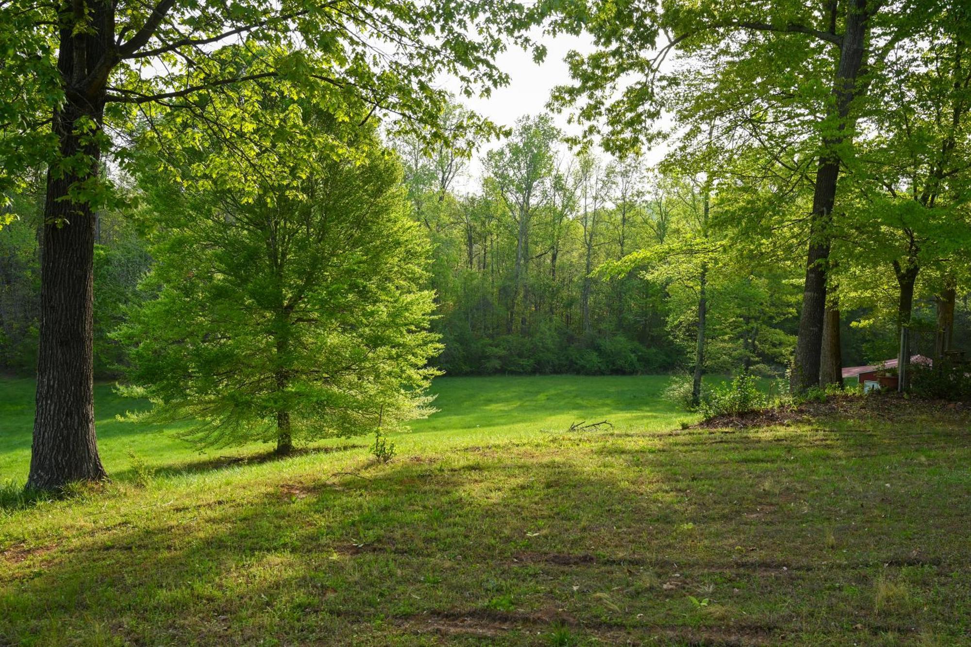 Southern Home And Fishing Lake. Gainesville Exterior photo